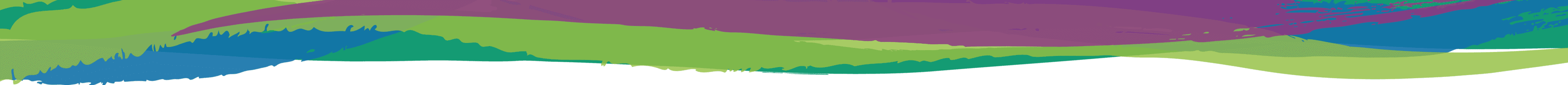 Webswash