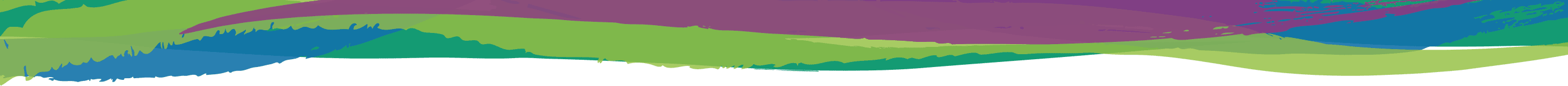 Webswash colourful border