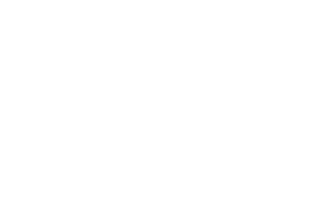 ursa logo in white