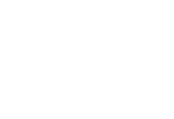 ursa logo in white