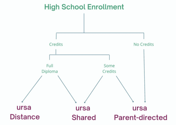 image001 High school enrolment chart for ursa
